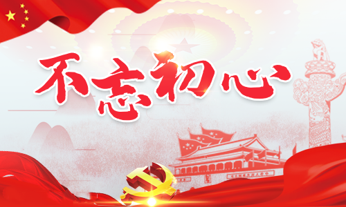 2020不忘初心牢記使命學后感5篇大全