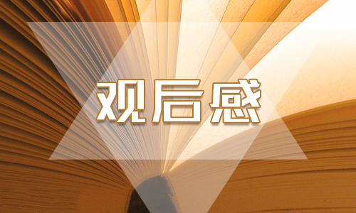 2020精選《國(guó)家監(jiān)察》第五集《打造鐵軍》心得體會(huì)范文5篇