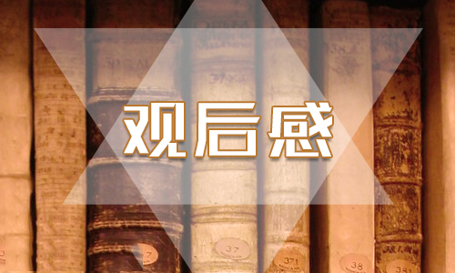 2020收看《國家監察》第四集《護航民生》心得感想5篇精選