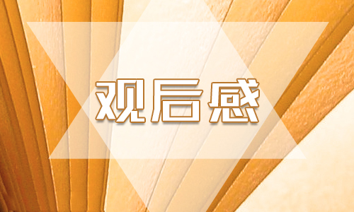 2020觀看《國家監察》學習收獲感想5篇